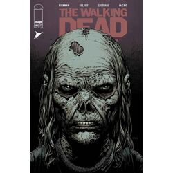 WALKING DEAD DELUXE #146 CVR A DAVID FINCH & DAVE MCCAIG (MR)