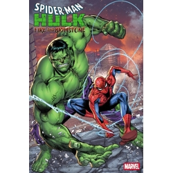 SPIDER-MAN/HULK: FIRE AND BRIMSTONE #1 CVR B MARCO CHECCHETTO FOIL VAR