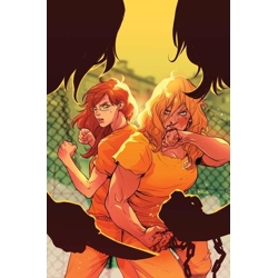 BARBARA GORDON BREAKOUT #4 CVR A KARL KERSCHL