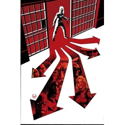 BARBARA GORDON BREAKOUT #4 CVR C DAVE JOHNSON CARD STOCK VAR