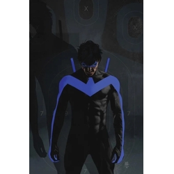 NIGHTWING #141 CVR B TIM BRADSTREET CARD STOCK VAR