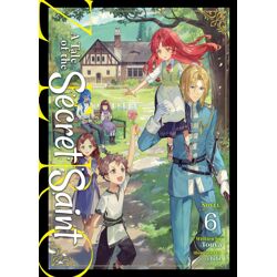 A TALE OF THE SECRET SAINT ZERO LIGHT NOVEL Vol. 6