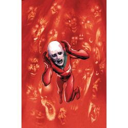 DEADMAN #6 (OF 12) CVR D FRAZER IRVING CARD STOCK VAR