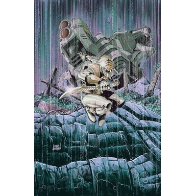 Power Rangers Green #4 Cvr C Chris Mooneyham Tommy Oliver Card Stock Connecting Var
