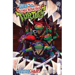 TALES OF THE TEENAGE MUTANT NINJA TURTLES: COASTAL CHAOS #3 CVR B NERFALICE VAR