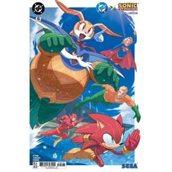 DC X SONIC THE HEDGEHOG METAL LEGION #5 (OF 5) CVR B MIN HO KIM CARD STOCK VAR