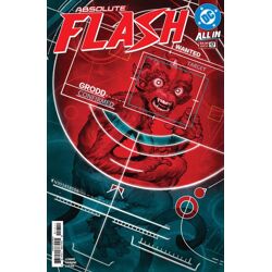 ABSOLUTE FLASH #17 CVR A NICK ROBLES