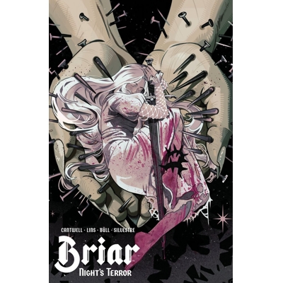Briar: Night'S Terror #4 Cvr B Noah Dao Var