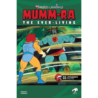 Mumm Ra the Ever Living #3 Cvr E Animation Art Var