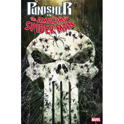 Punisher vs. Spider-Man #2 Cvr B Var