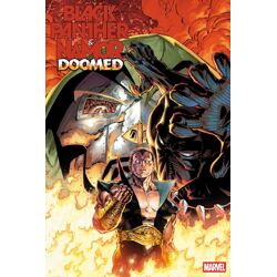Black Panther/Namor: Doomed #1 Cvr C Var