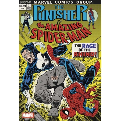 Punisher vs. Spider-Man #3 Cvr C Erik Larsen Var