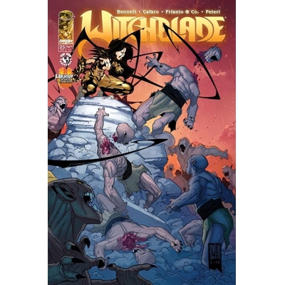 Witchblade #25 Cvr C Pat Boutin & Steve Firchow Connecting Witchblade Team up Var