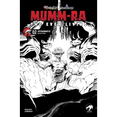 Mumm Ra the Ever Living #2 Cvr K Shalvey Line Art Var
