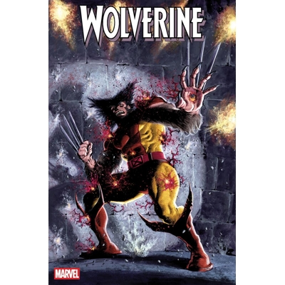 Wolverine #31 Cvr A Juan Ferreyra
