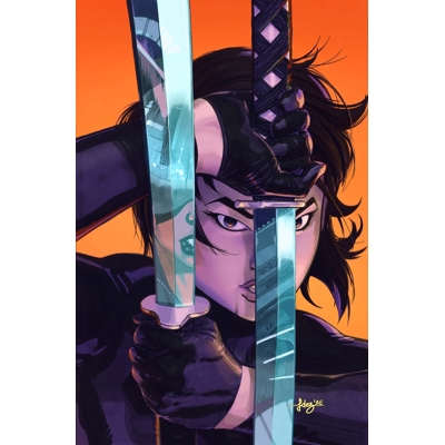 Absolute Catwoman #6 (of 6) Cvr B Javier Fernandez Card Stock Var
