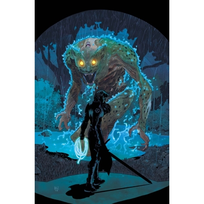 Absolute Wonder Woman #27 Cvr A Hayden Sherman