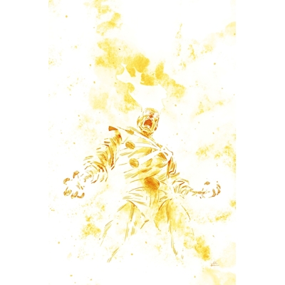 Fury of Firestorm #9 (of 9) Cvr A Rafael De Latorre