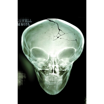 X-Files #1 Cvr H Roswell Photo Foil Virgin Cover