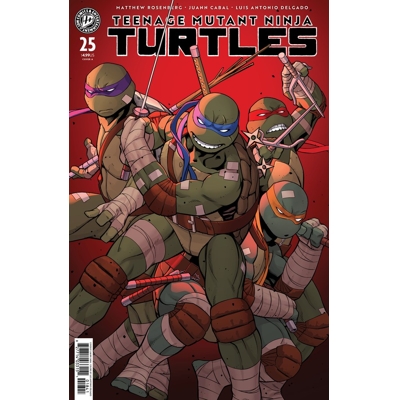 Teenage Mutant Ninja Turtles #25 Cvr A Juann Cabal