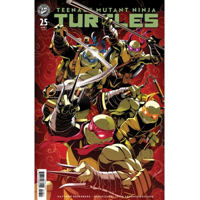 Teenage Mutant Ninja Turtles #25 Cvr B Godtail Var