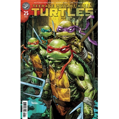 Teenage Mutant Ninja Turtles #25 Cvr C Dan Panosian Var
