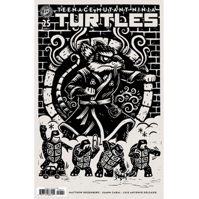 Teenage Mutant Ninja Turtles #25 Cvr F Attack Peter Var