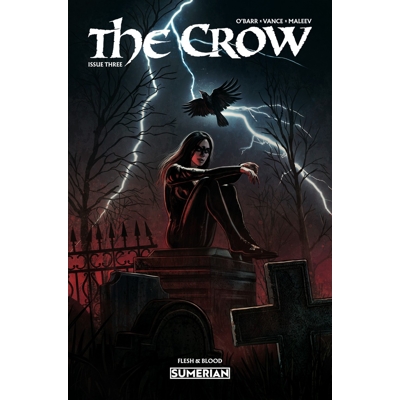 Crow Flesh and Blood #3 Cvr A Eduardo Schaal (MR)