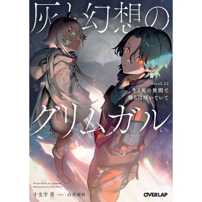 Grimgar of Fantasy and Ash Light Novel Vol. 22