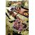 JUSTICE LEAGUE HC VOL 03 THRONE OF ATLANTIS (N52) - Geoff Johns, Jeff Lemire