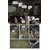 REVIVAL TP VOL 01 YOU'RE AMONG FRIENDS - Tim Seeley