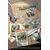 X-FILES CONSPIRACY HC - Paul Crilley & Various