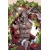 GRIMM FAIRY TALES DIFFERENT SEASONS TP VOL 04 - ...