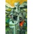 SANDMAN OVERTURE #2 SPECIAL EDITION (MR) - Neil Gaiman