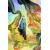 SANDMAN OVERTURE #4 SPECIAL EDITION (MR) - Neil Gaiman