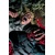 X #16 (MR) - Duane Swierczynski