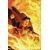 SUPERMAN THE FINAL DAYS OF SUPERMAN HC - Peter J. Tomasi