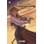 SCARLET ROSE GN VOL 01 - Patricia Lyfoung