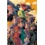 DC THE NEW FRONTIER TP NEW ED BLACK LABEL - Darwyn Cooke