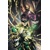 INJUSTICE GODS AMONG US YEAR TWO DELUXE ED HC - ...