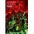 CYBER FORCE AWAKENING TP VOL 03 (MR) - Bryan Hill