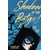 SHADOW OF THE BATGIRL TP - Sarah Kuhn