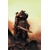 BERSERKER UNBOUND #1 až 4 (OF 4) CVR A DEODATO - Jeff Lemire