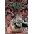 ZOMBIE TRAMP TP VOL 18 SEX CLUBS ROCK ROLL (MR) ...