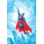 SUPERMAN RED & BLUE HC