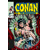 CONAN BARBARIAN ORIGINAL COMICS OMNIBUS HC VOL 07 DOCHERTY - Christopher J. Priest, Don Kaar