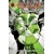 PROMETHEUS IN CHAINS TP VOL 01 (MR)