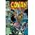 CONAN THE BARBARIAN THE ORIGINAL COMICS OMNIBUS VOL 08 REGULAR EDITION W JOHNSON & GEOFF ISHERWOOD (MR) - Christopher J. Priest