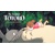 STUDIO GHIBLI MY NEIGHBOR TOTORO NOTECARDS 16 NOTECARDS & ENVELOPES - Nadine Takvorian