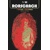RORSCHACH BY TOM KING AND JORGE FORNES DELUXE EDITION HC (MR) - Tom King